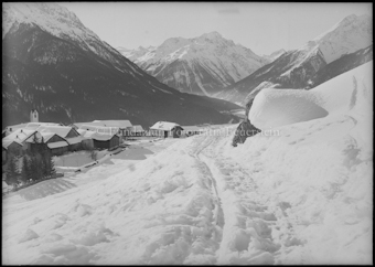 Winter Guarda