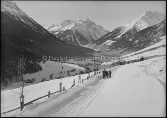 Winter Guarda