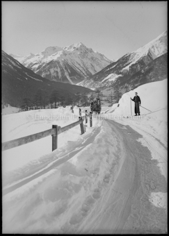 Winter Guarda