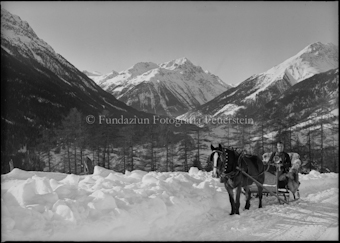 Winter Guarda