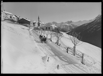 Winter Guarda