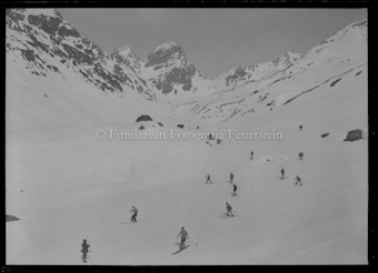 Winter Guarda