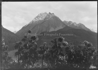 Berglandschaft