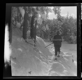 Originalbeschriftung der Schachteln «Jägerplatten»