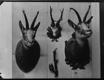 Originalbeschriftung der Schachteln «Jägerplatten»