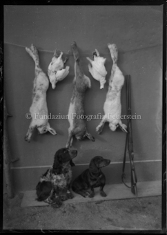 Jagdhunde mit erlegtem klein Wild