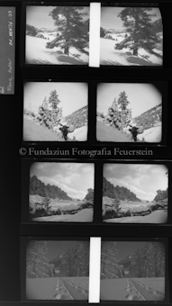 Winterlandschaften