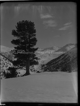 Schneebedeckte Landschaft