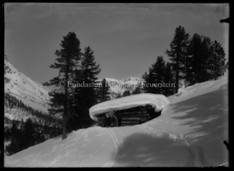 Wintermotiv