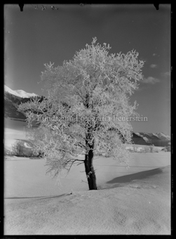 Wintermotiv