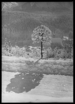 Wintermotiv