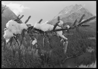 Wintermotiv
