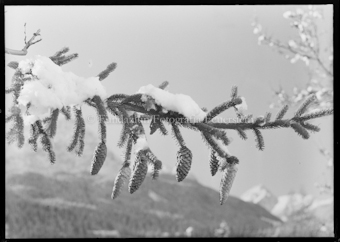 Wintermotiv