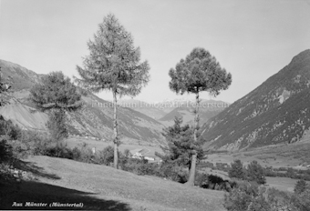 Münster, Münstertal
