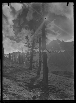 Tierfotografen. Personen Nationalpark.
