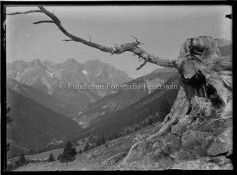 Tierfotografen. Personen Nationalpark.