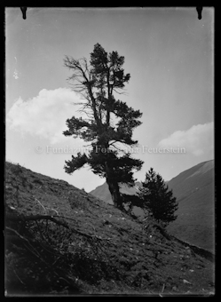 Nationalpark
