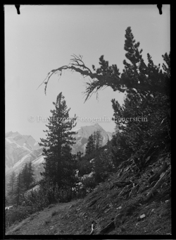 Nationalpark