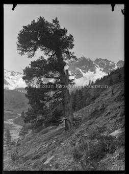 Nationalpark