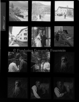 Aus der Schachtel: Paulis Nelkenkultur