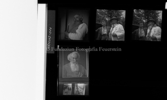 Aus der Schachtel: Paulis Nelkenkultur