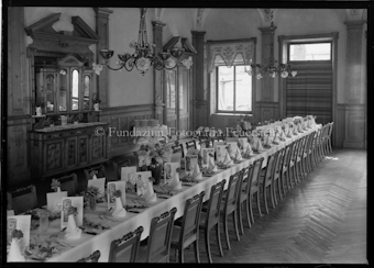 Aus der Schachtel: Paulis Nelkenkultur