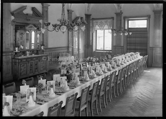 Aus der Schachtel: Paulis Nelkenkultur