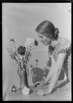 Aus der Schachtel: Paulis Nelkenkultur