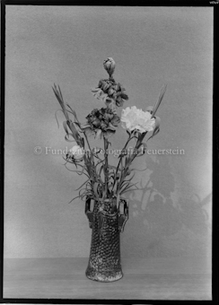 Aus der Schachtel: Paulis Nelkenkultur