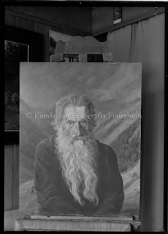 Aus der Schachtel: Paulis Nelkenkultur