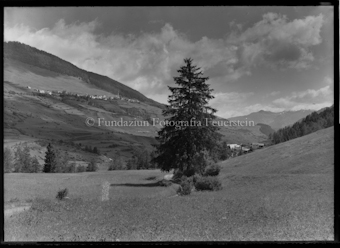 Pradella