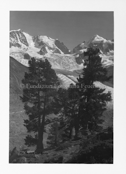 Roseg, Bernina, Boval, Diavolezza