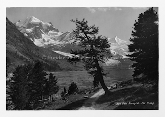 Roseg, Bernina, Boval, Diavolezza