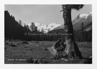 Roseg, Bernina, Boval, Diavolezza