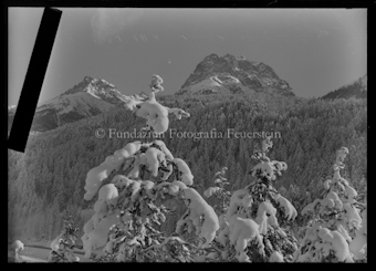Landschaftsaufnahme im Winter