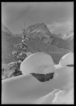 Landschaftsaufnahme im Winter