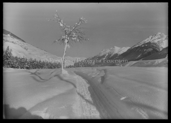 Landschaftsaufnahme im Winter