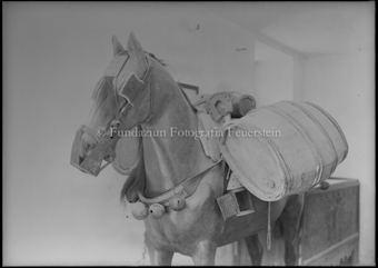 Pferd, vollgepackt mit Gegenständen