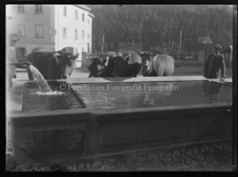 Kühe am Brunnen mit Zwei Männern