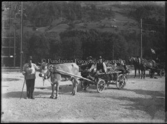 Kuh mit Fuhrwerk, Pferde mit Fuhrwerk mit Personen