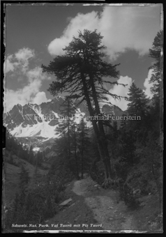 Val Tavrü mit Piz Tavrü im schweiz. Nat. Park