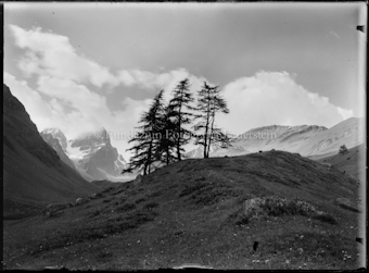 Val Tuoi Sommer