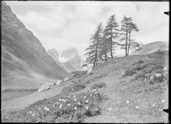 Val Tuoi Sommer