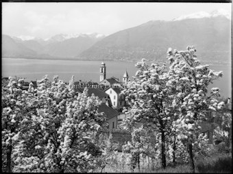 Blick über blühende Bäume auf Vira Gambarogno