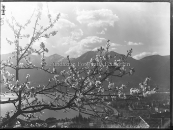 Frühling in Locarno