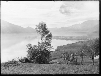 Blick auf Lago Maggiore von Contra aus; Maggiadelta