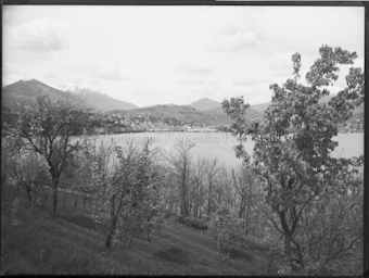 Blick von Lugano Paradiso über Luganersee auf Lugano, Obstbäume im Vordergrund