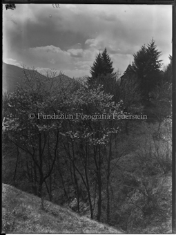 Frühling am Lago Maggiore