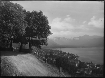 Blick von Feldweg mit Kastanienbäumen auf Locarno