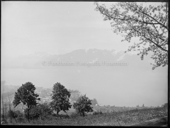 Blick auf Vevey und Genfersee